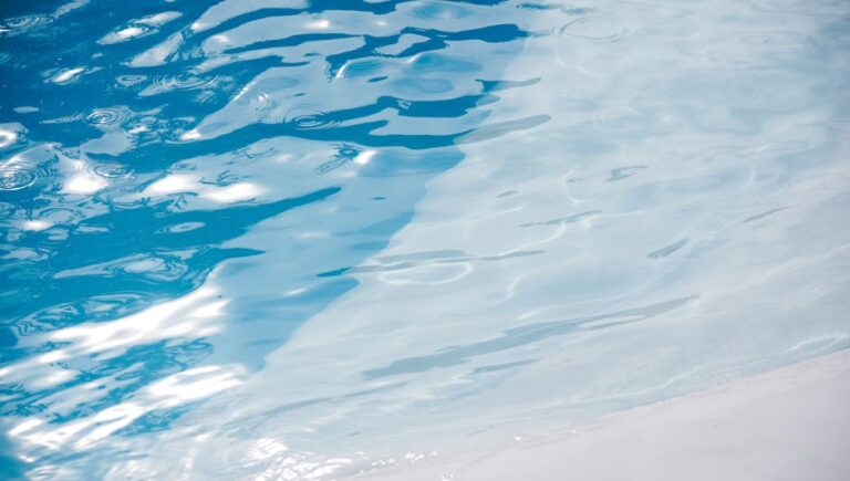 Pool Cleaning