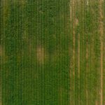 organic agricultural supplies