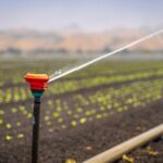irrigation system