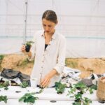 aquaponics kit