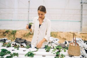 aquaponics kit