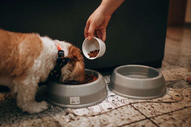 raw dog food delivery