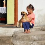 seguro para mascotas