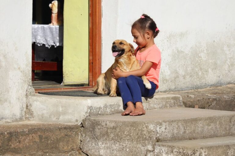 seguro para mascotas