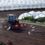 greenhouse equipment