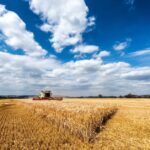 crop insurance