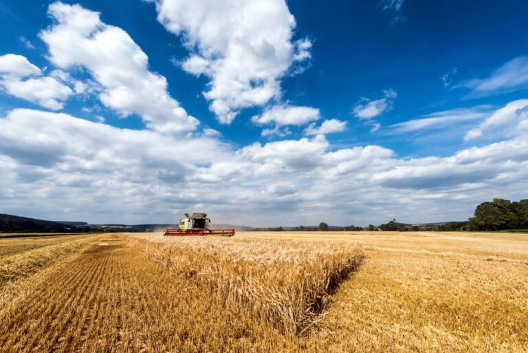crop insurance