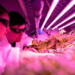 vertical farming technology
