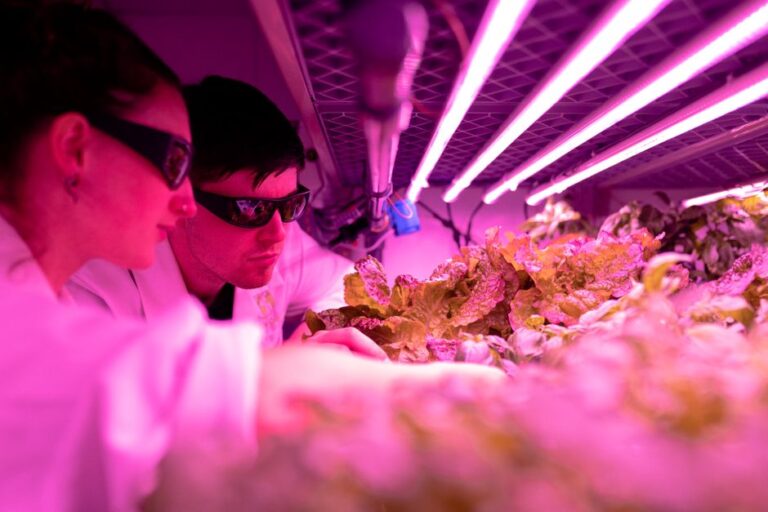 vertical farming technology