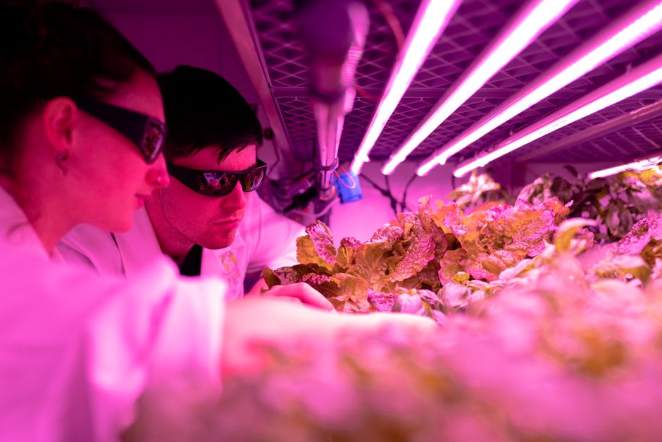vertical farming technology