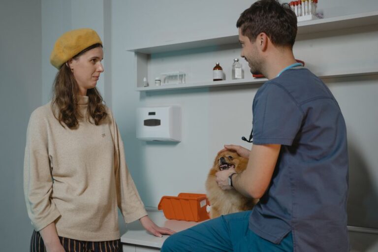 clínica veterinaria reserva