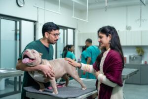clínica veterinaria reserva